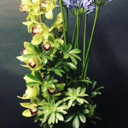 Tall arrangement of yellow orchids and purple agapanthus in a vase