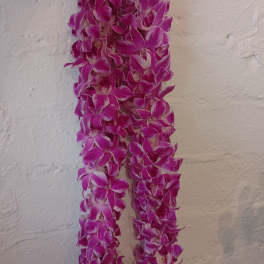 Two long purple orchid leis hanging against a light wall.