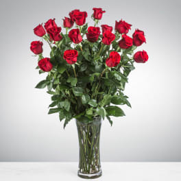 Premium Long Stemmed Red Roses by BloomNation™ Two Dozen Pictured
