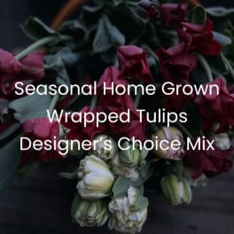 Wrapped Seasonal Mixed Local Tulips