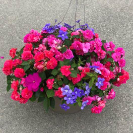Hanging basket of pink and purple flowers in a round planter