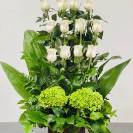 White roses and green hydrangeas in a square vase