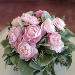 Bouquet of pale pink peonies with silvery green foliage