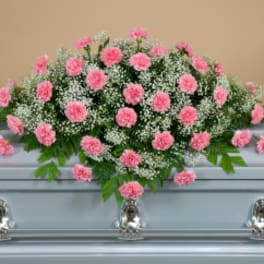 Pink carnations arranged on a casket with white filler flowers