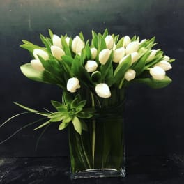 White tulips arranged in a clear glass vase with green leaves