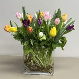 Mixed tulips in pink, yellow, purple, orange, and white in a clear glass vase