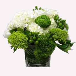 White and green floral arrangement in a square glass vase