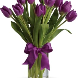 Purple tulips in a clear glass vase tied with a purple ribbon