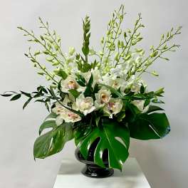 White orchids arranged in a black vase with large glossy leaves