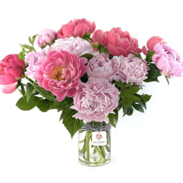 Pink peonies arranged in a clear glass vase