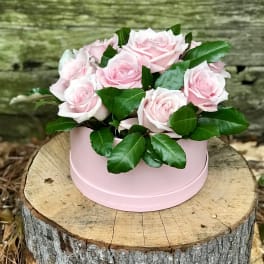Pink roses arranged in a round pink box