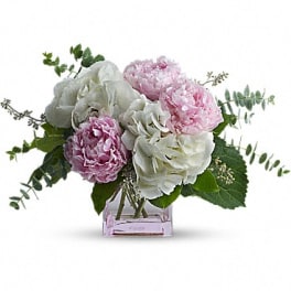 Pink and white peonies arranged in a clear square vase