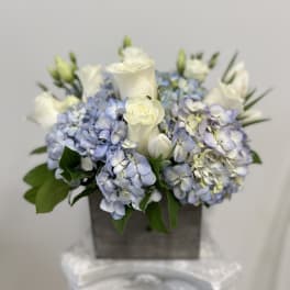 Compact arrangement of white roses and blue hydrangeas in a gray wooden box