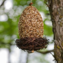 Hanging bird feeder filled with seeds on a tree