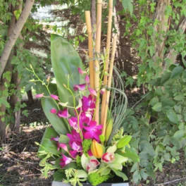 Tropical floral arrangement with purple orchids and bamboo sticks in a black container