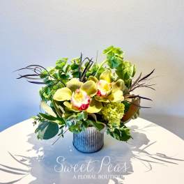 Low arrangement of green cymbidium orchids and hydrangea in a ribbed metal vase