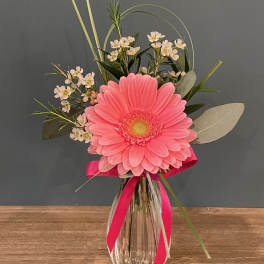 Pink gerbera daisy arrangement in a glass vase with ribbon