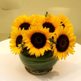Bouquet of sunflowers in a green glass bowl vase