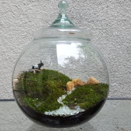Glass terrarium with moss, pebbles, and a small cow figurine