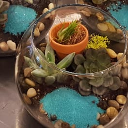 Glass bowl terrarium with small succulents, pebbles, and blue sand