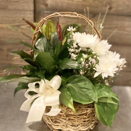 White flowers and green plants arranged in a wicker basket with a ribbon