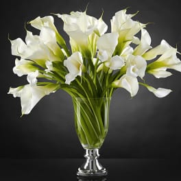 White calla lilies arranged in a clear glass vase