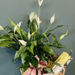 Basket gift with white peace lilies and bath products tied with a pink ribbon