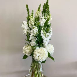 Tall white hydrangeas and snapdragons arranged in a clear glass vase on a small wooden stand