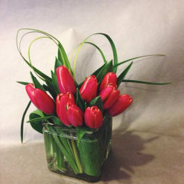 Red tulips arranged in a square glass vase with looping grass
