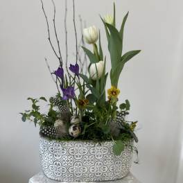Spring Air Garden by Westford Florist Art by Veny