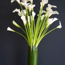 White calla lilies in a tall glass vase