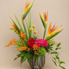 Tall tropical bouquet with bird of paradise, red roses, and a pink gerbera in a patterned vase