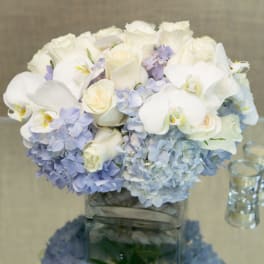Low arrangement of white roses, white orchids, and pale blue hydrangeas in a clear glass cube vase