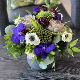 Mixed bouquet with purple orchids and pale succulents in a gray vase