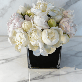 The Purest Peony