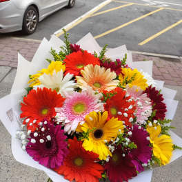 Bright mixed gerbera daisy bouquet wrapped in white paper