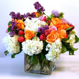 Low mixed arrangement of white hydrangeas, orange roses, and purple accents in a clear glass cube vase