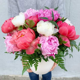 Pink and white peonies arranged in a white vase