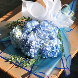 Blue hydrangea bouquet wrapped in white and blue paper