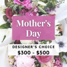 Mother's Day Designer's Choice $300-$500
