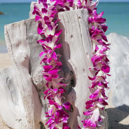 Two purple and white orchid leis draped over driftwood on a beach