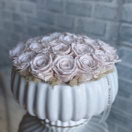 Pale pink roses arranged in a white ribbed vase