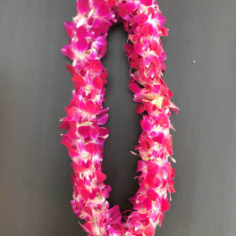 Pink orchid lei on a dark background