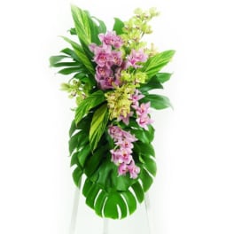 Pink and green orchid arrangement with large tropical leaves