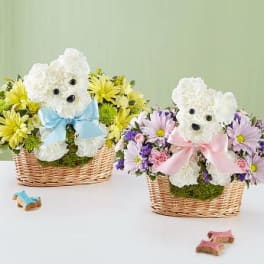 Two teddy bear floral baskets with pastel flowers and ribbons