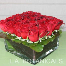 Low square arrangement of red roses in a glass vase