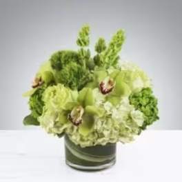 Green orchid and hydrangea arrangement in a glass vase