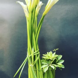 White calla lilies in a tall glass vase beside a small succulent arrangement