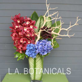 Tall vase arrangement with red orchids and blue hydrangeas