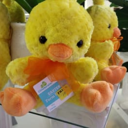 Yellow plush chick with orange beak and feet sitting on a glass shelf